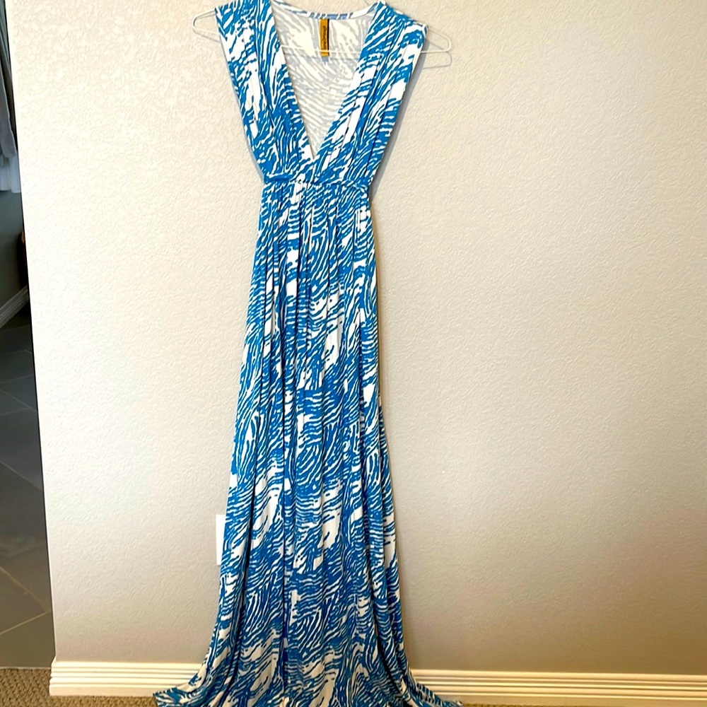 Rachel Pally dress
